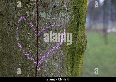 Broken heart drawn on a tree trunk Stock Photo