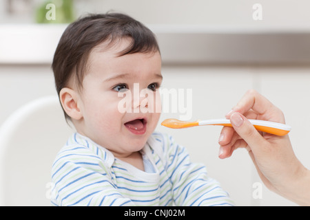 Baby boy being fed Stock Photo