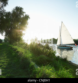 Sailing boat on the Norfolk Broads, Norwich, Norfolk, UK Stock Photo