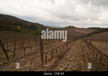 countryside and wineyard in Chianti, Tuscany, Italy Stock Photo