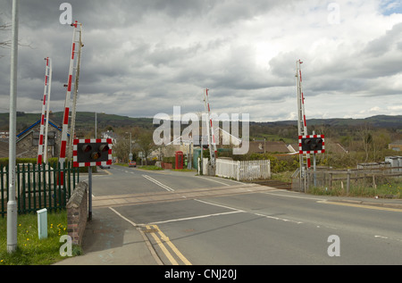 Railway line level crossing road in Llandrindod Wells, Powys Wales UK. Stock Photo