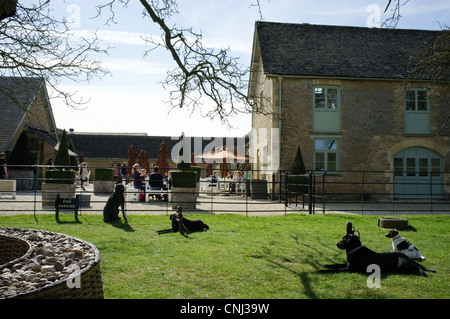 Daylesford Farm Shop with outdoor cafe on a sunny day - Cotswolds ...