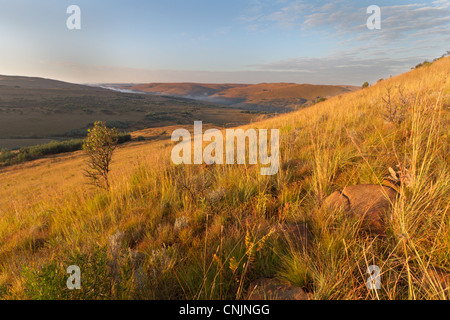 Lovely vista of rolling hills covered in mist on the South African Highlands Meander Stock Photo