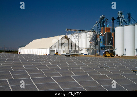Solar Drier Rice Solar panels create energy used for powering the rice dryer at ...
