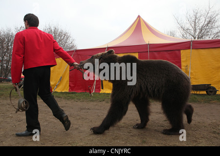 Animal trainer Hynek Navratil Junior and trained bear Matej in Humberto Circus in Prague, Czech Republic. Stock Photo