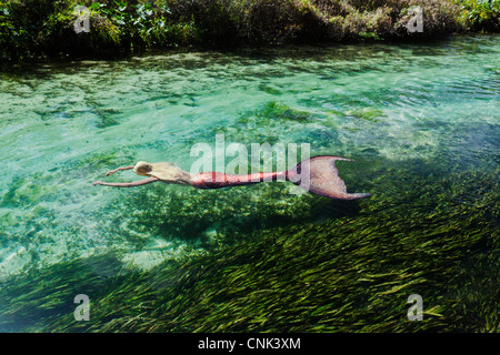 Mermaid floating on her stomach down Weeki Wachee Springs River in Florida Stock Photo