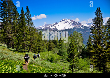 Ansel Adams Wilderness, CA, USA, Pacific Crest Trail to Agnew Meadows (MR) Stock Photo