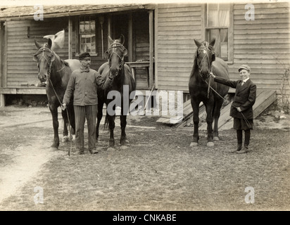 Father & Son with Three Horses Stock Photo