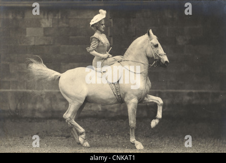 Elegant Lady Proudly Rides Lipizzan Horse Stock Photo