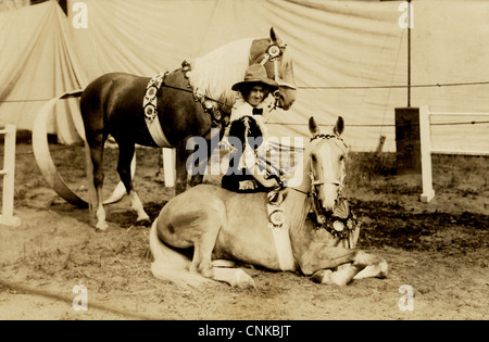 Circus Trainer Lady & Pair of Trained Horses Stock Photo