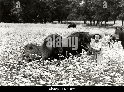 Little Girl in Field of Daisies with Horses Stock Photo