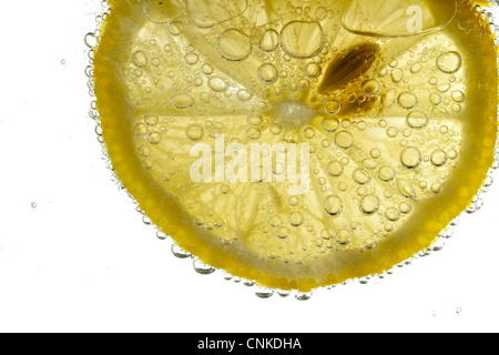 A fresh lemon slice floats in carbonated water, back lit on white Stock Photo