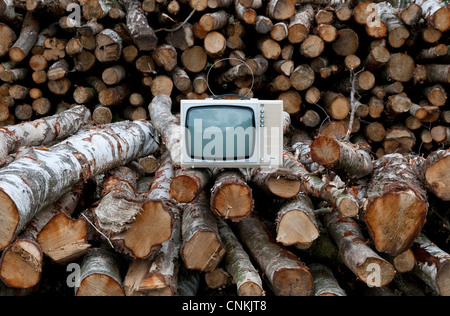 forestry management, marsham woods, norfolk, england Stock Photo