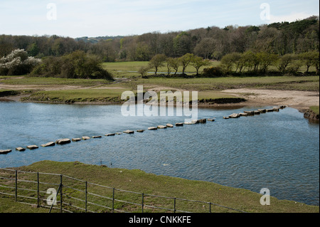 Stepping stones across the River Ewenny at Ogmore in the Vale of Glamorgan South Wales Stock Photo