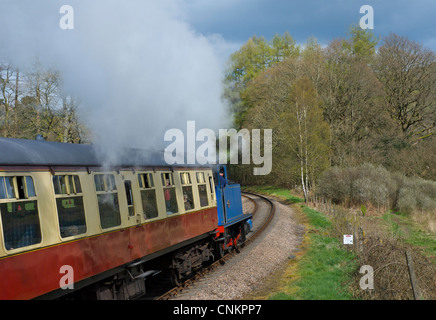 Steam train on Lakeside and Haverthwaite Railway, Lake District National Park, Cumbria, England UK Stock Photo