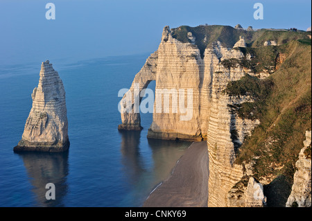 L'Aiguille and the Porte D'Aval, a natural arch in the eroded chalk cliffs at Etretat, Côte d'Albâtre, Upper Normandy, France Stock Photo