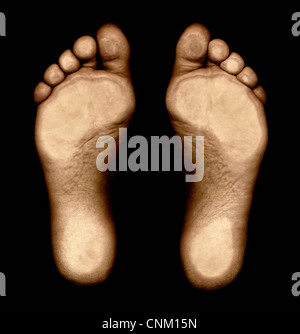 Feet from below, foot prints Stock Photo