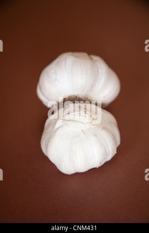 Fresh garlic bulbs Stock Photo