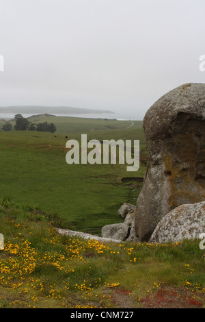 A view of rolling hills and rock near Dillon Beach in Northern California, with Point Reyes in the distance. Stock Photo