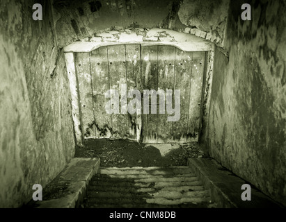 Creepy looking grunge basement door with stairs Stock Photo