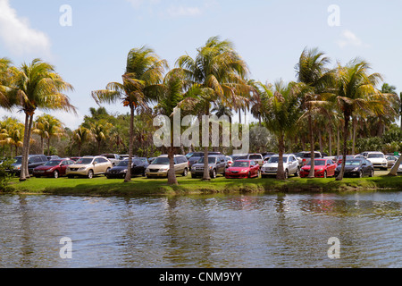 Miami Florida,Coral Gables,Fairchild Tropical Gardens,water,palm trees,parked cars,special event,visitors travel traveling tour tourist tourism landma Stock Photo
