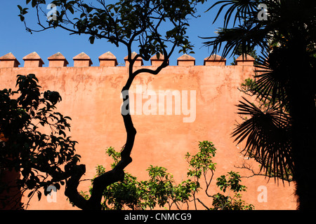 Garden of the Chorron, Real Alcazar, Seville, Andalucia, Spain, Europe Stock Photo