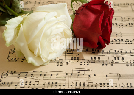 white and red rose on music sheet Stock Photo