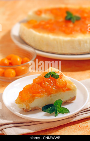 Iced tart with yogurt and kumquats. Recipe available. Stock Photo