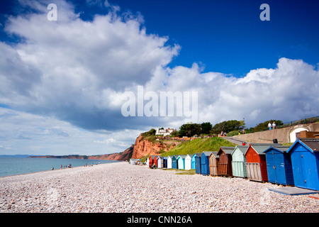 Beach Huts at Budleigh Salterton Devon UK Stock Photo