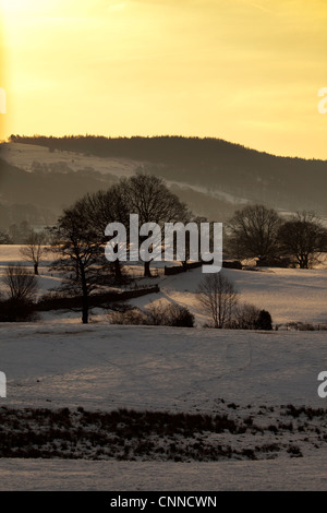 Sunrise over snow covered rural landscape at Knipefold in the Lake District, Cumbria, Wales, UK Stock Photo