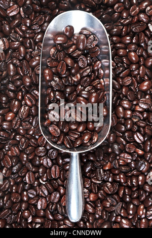 Photo of a metal scoop with roasted arabica and robusta coffee beans mix. Stock Photo