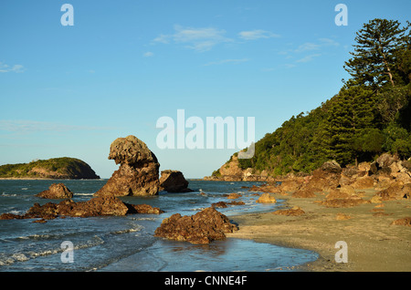 Beach at Cape Hillsborough National Park, Queensland, Australia Stock Photo