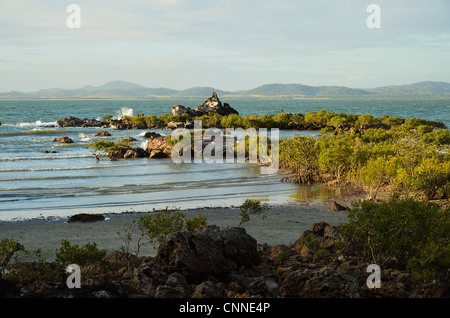 Sand Bay, Cape Hillsborough National Park, Queensland, Australia Stock Photo