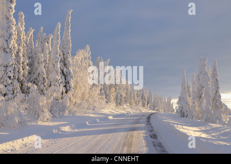 Road, Valtavaara, Kuusamo, Northern Ostrobothnia, Oulu Province, Finland Stock Photo