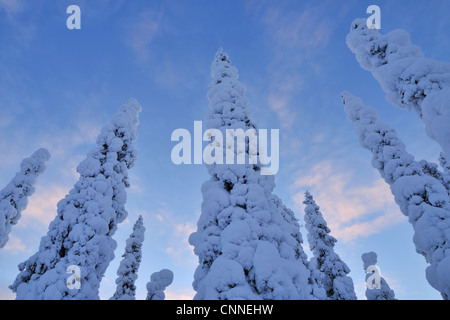 Kuusamo, Northern Ostrobothnia, Oulu Province, Finland Stock Photo