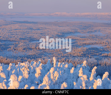 Snow Covered Landscape, Rukatunturi, Kuusamo, Northern Ostrobothnia, Finland Stock Photo