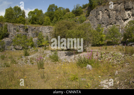 View habitat regeneration former limestone quarry Millers Dale Quarry Derbyshire Wildlife Trust Reserve Wye Valley Derbyshire Stock Photo