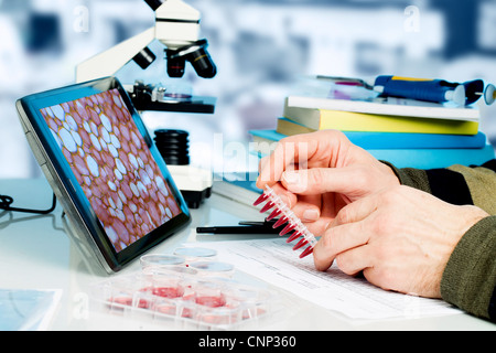 Workplace in the laboratory of genetic research Stock Photo