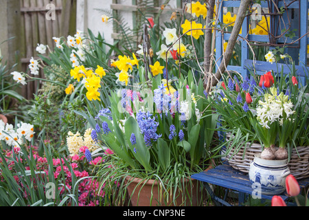 Marcel de Lannoy's Garden Addlestone Surrey UK Stock Photo