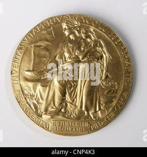 Nobel prize,Nobel,Prize,Medal,Alfred,Gold,Science,Tinbergen,back side Stock Photo