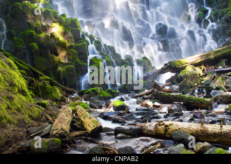 Ramona Falls located in Oregon's Mt Hood National Forest