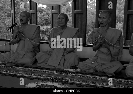 monk ordination ceremony at wat pong pang,  temple on the bank of Mae Klong River , Amphawa, Samut Sakhon, thailand Stock Photo