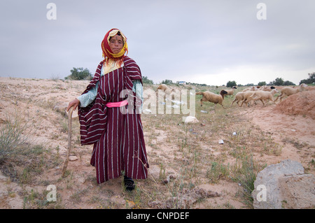 Around Sidi Bouzid, are many small villages and lot of farm land and meadows where the shepherd Juma takes her sheep. Stock Photo