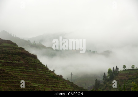 Terraced rice fields in the mist Stock Photo