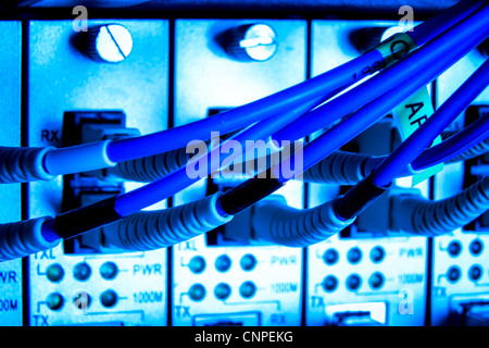 optic fiber cables connected to hub Stock Photo