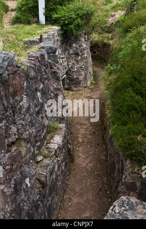 Le Linge battlefield World War I, First World War, Alsace, France Stock Photo