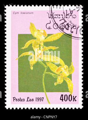 Postage stamp from Laos depicting an orchid (Cymbidium lowianum) Stock Photo