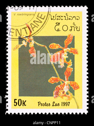 Postage stamp from Laos depicting the steam locomotive Novelty Stock ...