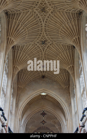 [Bath Abbey] [fan vaulting ceiling] celing church Stock Photo