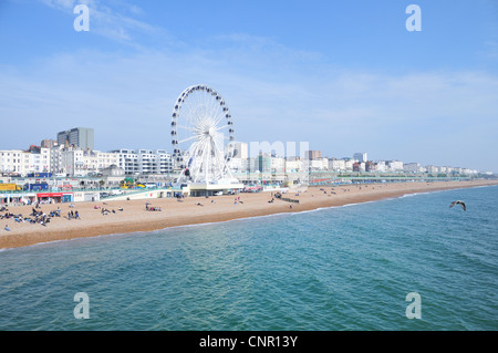 Full view of the Brighton Wheel, Brighton, East Sussex, England Stock Photo